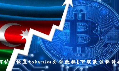 如何快速恢复tokenim文件数据?下载最佳软件指南