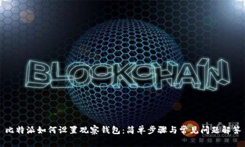 比特派如何设置观察钱包：简单步骤与常见问题解答