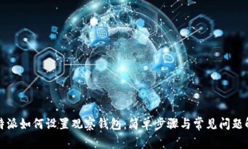比特派如何设置观察钱包：简单步骤与常见问题解答