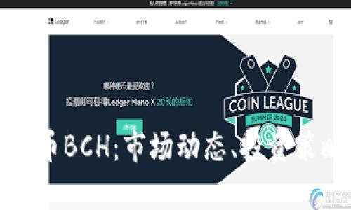 深入探索虚拟币BCH：市场动态、投资策略与技术前景