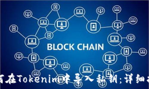   
如何在Tokenim中导入私钥：详细指南