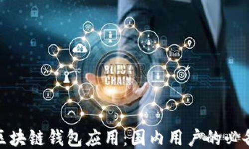 
探索区块链钱包应用：国内用户的必备工具