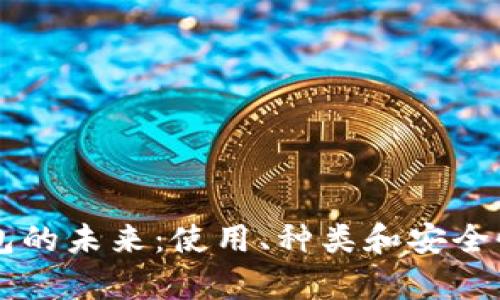 区块链钱包的未来：使用、种类和安全性全面解析