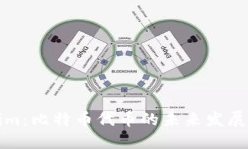Tokenim:比特币代币的未来发展与应用