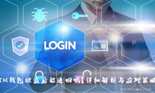 IM钱包被盗后能追回吗?详细解析与应对策略