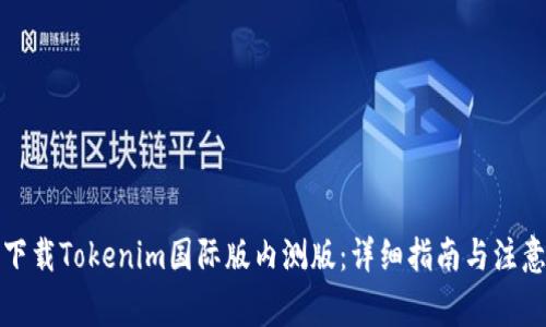 如何下载Tokenim国际版内测版:详细指南与注意事项
