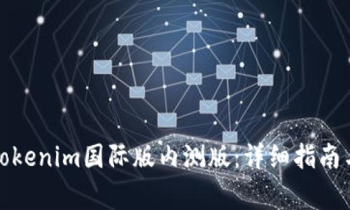 如何下载Tokenim国际版内测版:详细指南与注意事项