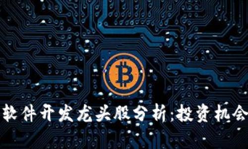 区块链系统软件开发龙头股分析：投资机会与市场趋势