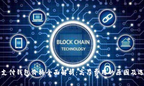 区块链支付钱包价格全面解析：高昂费用的原因及选择指南