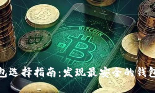 数字币钱包选择指南：发现最安全的钱包解决方案
