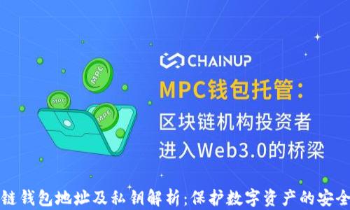 区块链钱包地址及私钥解析:保护数字资产的安全之道
