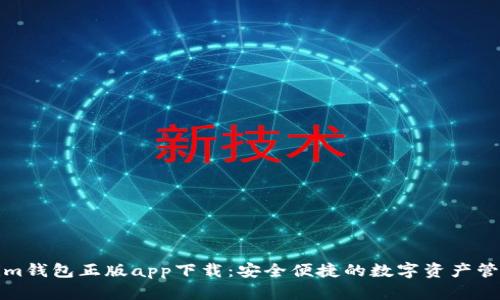 Tokenim钱包正版app下载:安全便捷的数字资产管理工具