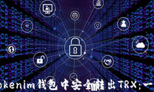 如何在Tokenim钱包中安全转出TRX:一步步指南