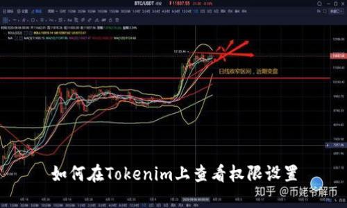 如何在Tokenim上查看权限设置