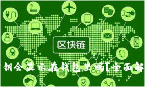 区块链钱包密钥会显示在钱包里吗?全面解析及安全建议