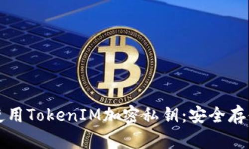 如何使用TokenIM加密私钥:安全存储指南