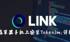如何在苹果手机上安装T