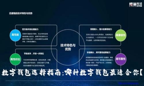 数字钱包选择指南：哪种数字钱包最适合你？
