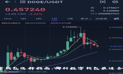 数字钱包选择指南：哪种数字钱包最适合你？