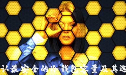 
币圈公认最安全的冷钱包容量及其选择指南