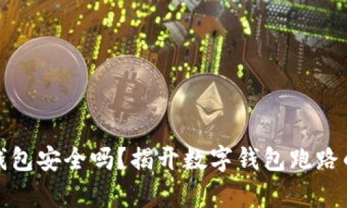 数字钱包安全吗？揭开数字钱包跑路的真相