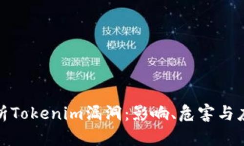 深入解析Tokenim漏洞:影响、危害与应对措施
