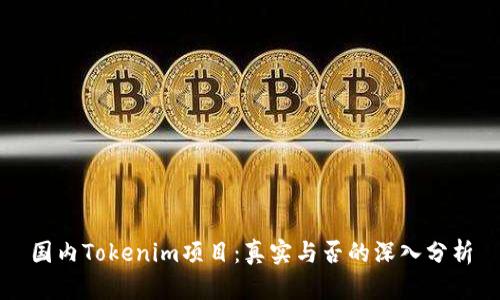 国内Tokenim项目:真实与否的深入分析
