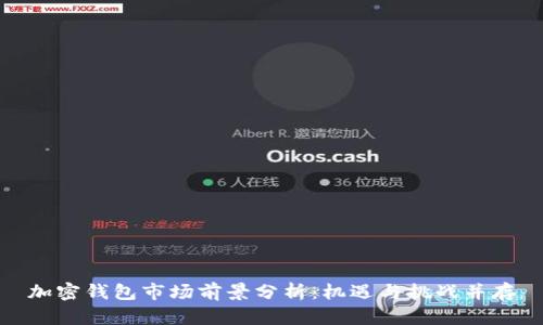 加密钱包市场前景分析：机遇与挑战并存