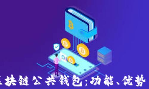 
全面解析区块链公共钱包：功能、优势与使用指南