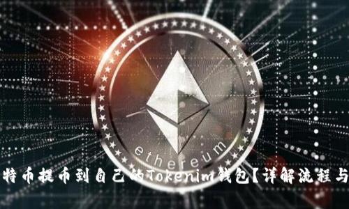 如何将比特币提币到自己的Tokenim钱包？详解流程与注意事项