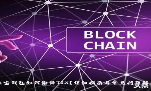 波宝钱包如何激活TRX?详细指南与常见问题解答