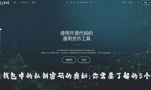 区块链钱包中的私钥密码的奥秘：你需要了解的5个关键点