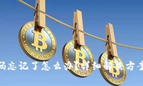 Tokenim支付密码忘记了怎么办？详细解决方案与常见问题解析