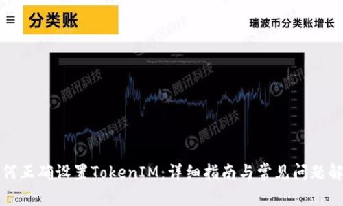 如何正确设置TokenIM:详细指南与常见问题解答