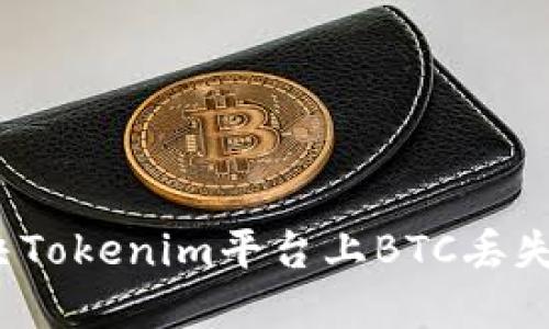 如何解决Tokenim平台上BTC丢失的问题?