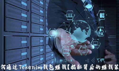 如何通过Tokenim钱包赚钱?揭秘背后的赚钱策略