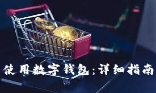 如何高效下载并使用数字钱包：详细指南与常见问题解答