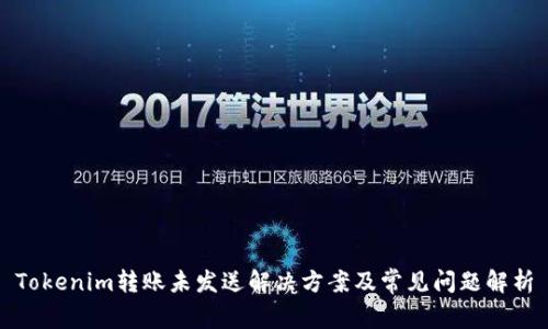 Tokenim转账未发送解决方案及常见问题解析
