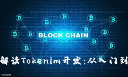 全面解读Tokenim开发:从入门到精通