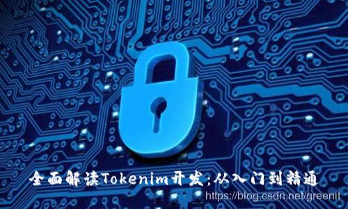 全面解读Tokenim开发:从入门到精通
