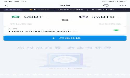 如何在国内有效使用Tokenim：技巧与替代方案