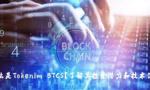 什么是Tokenim BTCS?了解其投资潜力和技术优势