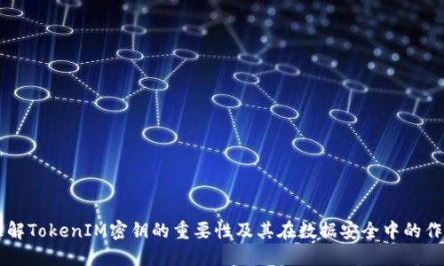 理解TokenIM密钥的重要性及其在数据安全中的作用