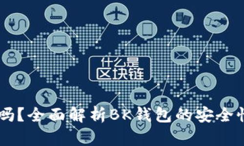 BK钱包安全吗？全面解析BK钱包的安全性与使用技巧