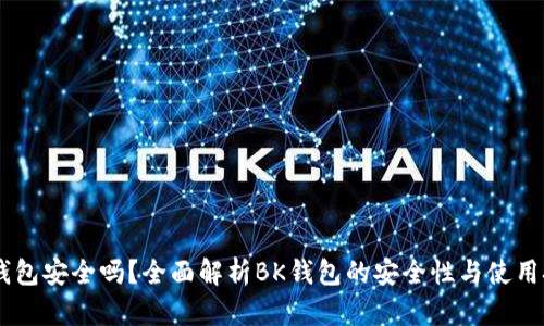 BK钱包安全吗？全面解析BK钱包的安全性与使用技巧
