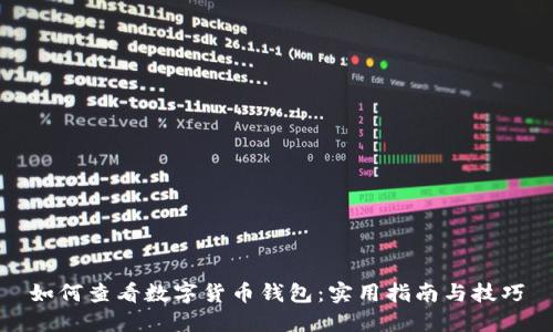 如何查看数字货币钱包：实用指南与技巧