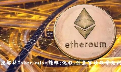 深度解析Tokenimlon转账:流程、注意事项及常见问题