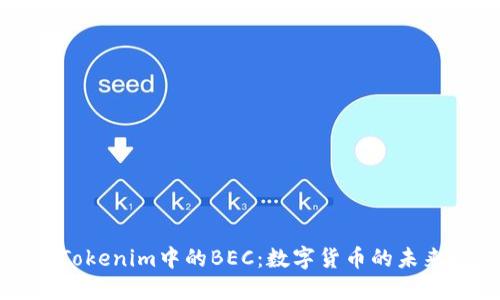 了解Tokenim中的BEC：数字货币的未来之窗