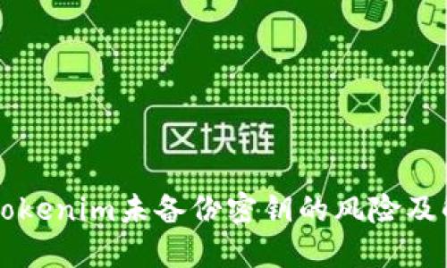 ### Tokenim未备份密钥的风险及解决方案