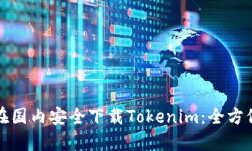 如何在国内安全下载Tokenim:全方位指南